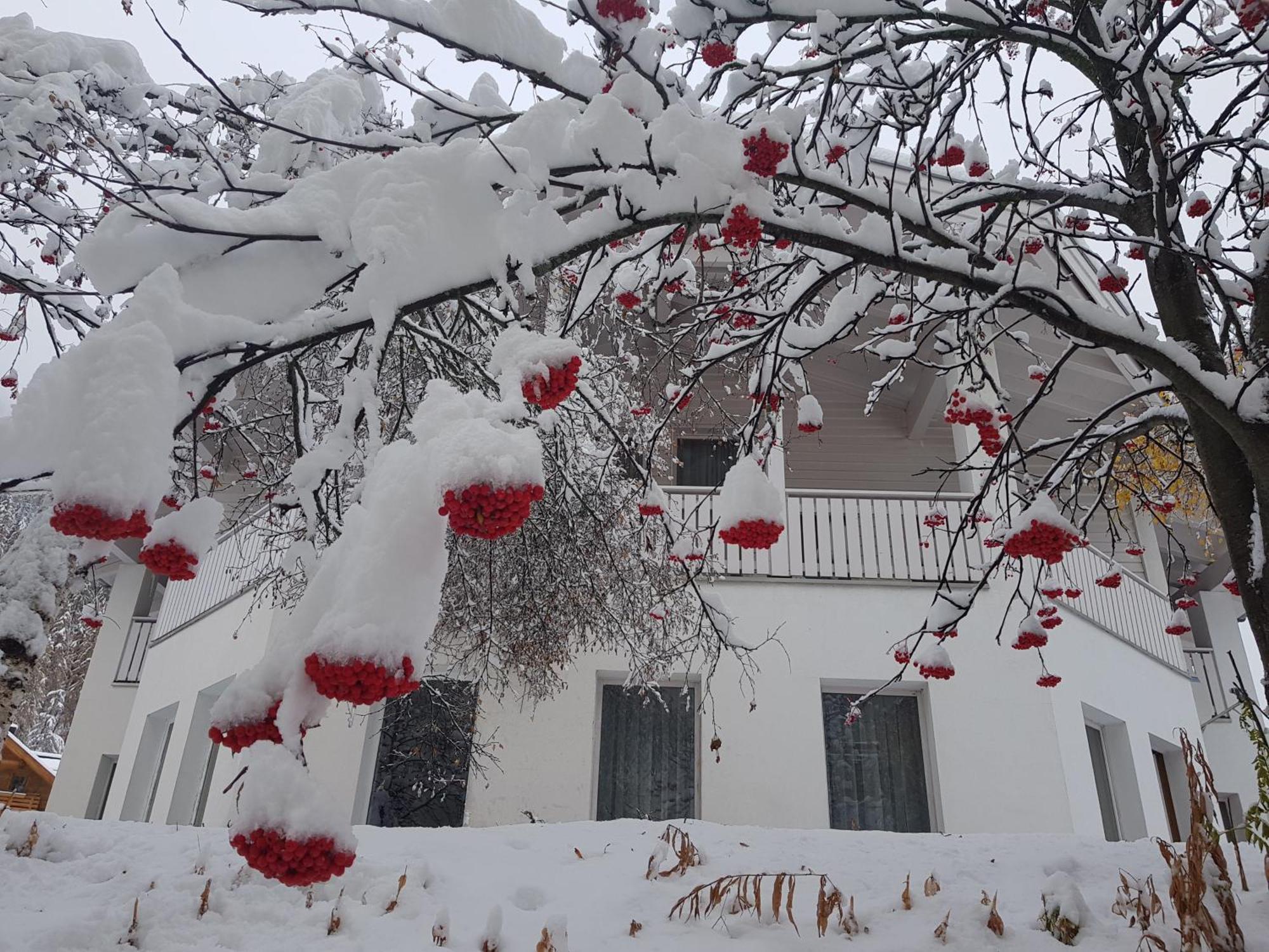 Apart Foresta Samnaun Εξωτερικό φωτογραφία