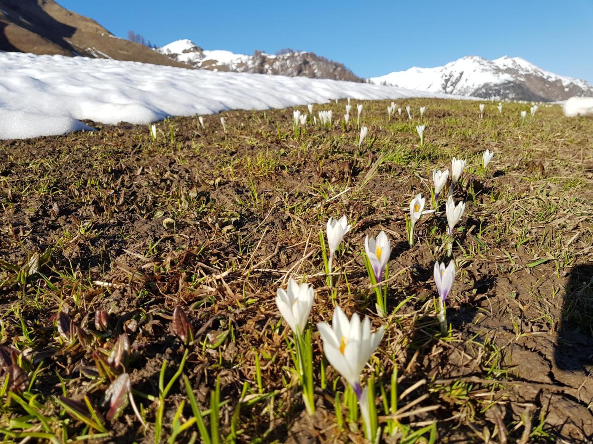 Apart Foresta Samnaun Εξωτερικό φωτογραφία