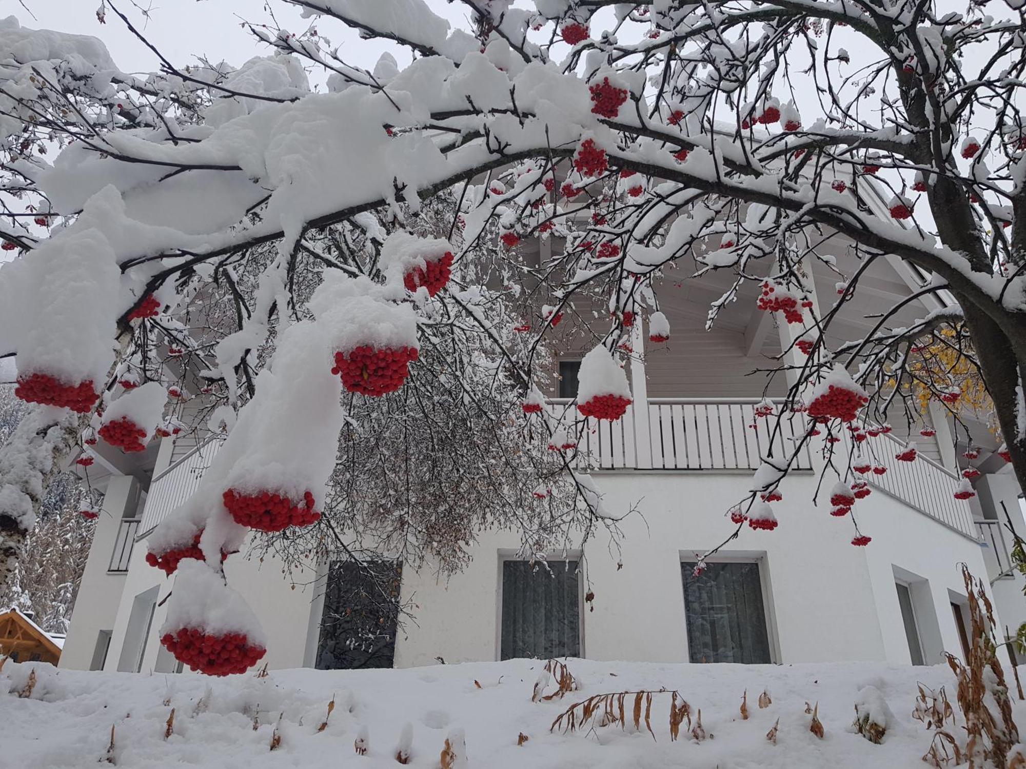 Apart Foresta Samnaun Εξωτερικό φωτογραφία